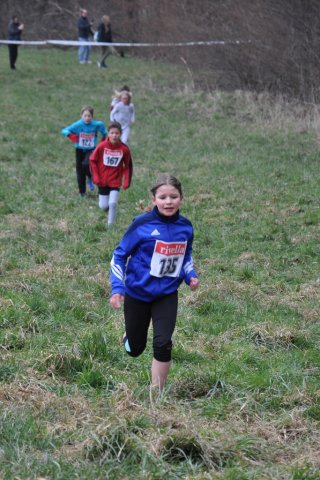 Cross 2016
